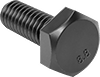 Hex Head Screws