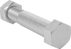 Hex Head Screws