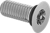 Flat Head Screws