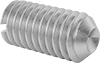 Slotted Stainless Steel Cup-Tip Set Screws