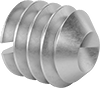 Slotted Stainless Steel Cup-Tip Set Screws