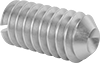 Slotted Stainless Steel Cup-Tip Set Screws