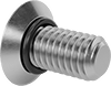 Flat Head Screws