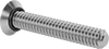 Flat Head Screws