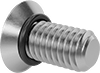 Flat Head Screws