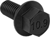 Hex Head Screws