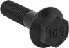 Steel Flanged Hex Head Screws