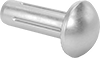 Dowel Pins