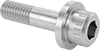 Stainless Steel Flanged Socket Head Screws