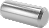 Dowel Pins