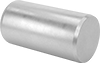 Dowel Pins