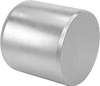 Dowel Pins