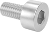 Aluminum Socket Head Screws