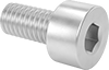 Aluminum Socket Head Screws