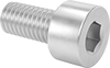 Socket Head Screws