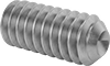 Set Screws