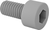 Plastic Socket Head Screws