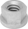 Flange Nuts