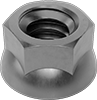 Flange Nuts