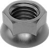 Flange Nuts