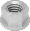 Flange Nuts