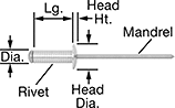 Image of Product. Front orientation. Contains Annotated. Blind Rivets for Wood.