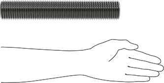 Image of Product. Side1 orientation. Contains SizingReference. 18-8 Stainless Steel Threaded Rod, 2"-4 1/2 Thread Size, 1 Foot Long.