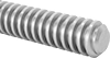 Precision Lead Screws
