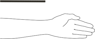 Image of Product. Side1 orientation. Contains SizingReference. Class 8.8 Medium-Strength Steel Threaded Rod, M10 x 1.5 mm Thread Size, 200 mm Long.