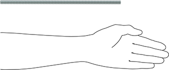Image of Product. Side1 orientation. Contains SizingReference. Medium-Strength Threaded Rod, Class 8.8 Zinc-Plated Steel, M10 x 1.5 mm Thread, 300 mm Long.