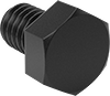 Hex Head Screws