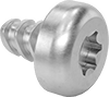 Stainless Steel Torx Plus Rounded Head Thread-Forming Screws for Plastic