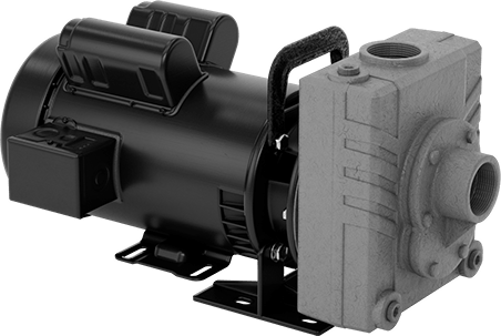 Image of Product. Front orientation. Self-Priming Circulation Pump, Harsh-Environment, 120/240V AC, 2 hp, 1-1/2 NPT Female.