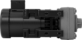 Image of Product. Bottom orientation. Self-Priming Circulation Pump, Harsh-Environment, 120/240V AC, 2 hp, 1-1/2 NPT Female.