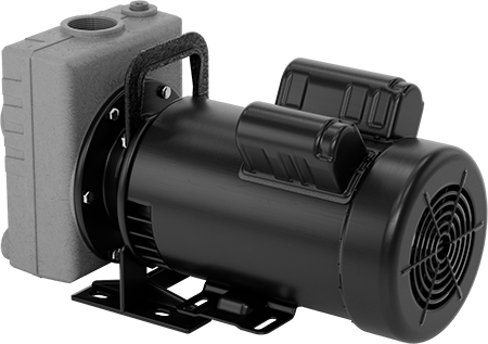 Image of Product. Back orientation. Self-Priming Circulation Pump, Harsh-Environment, 120/240V AC, 2 hp, 1-1/2 NPT Female.