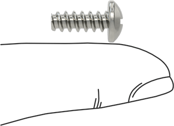 Image of Product. Side1 orientation. Contains SizingReference. Phillips Rounded Head Thread-Forming Screws, for Plastic, 18-8 Stainless Steel, Number 10 Size, 1/2" Long.