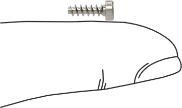 Image of Product. Side1 orientation. Contains SizingReference. Phillips Rounded Head Thread-Forming Screws, for Plastic, 18-8 Stainless Steel, M2.5 Screw Size, 8 mm Long.