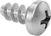 Stainless Steel Phillips Rounded Head Thread-Forming Screws for Plastic