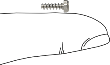Image of Product. Side1 orientation. Contains SizingReference. Phillips Rounded Head Thread-Forming Screws, for Plastic, 18-8 Stainless Steel, M2.5 Screw Size, 8 mm Long.