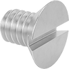 Aluminum Slotted Flat Head Screws