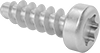 Steel Torx Rounded Head Thread-Forming Screws for Plastic