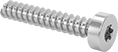 Image of Product. Front orientation. Tapping Screws. Steel Torx Plus Rounded Head Thread-Forming Screws for Plastic.