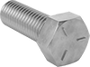 Hex Head Screws