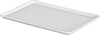 Image of Product. Front orientation. Pans. Food and Beverage Plastic Pans, Style B.
