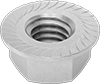 Flange Nuts