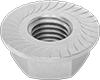 Flange Nuts