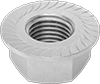 Flange Nuts