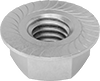 Flange Nuts