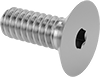 Flat Head Screws