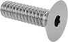 Flat Head Screws